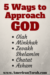 The five sacrifices in Torah