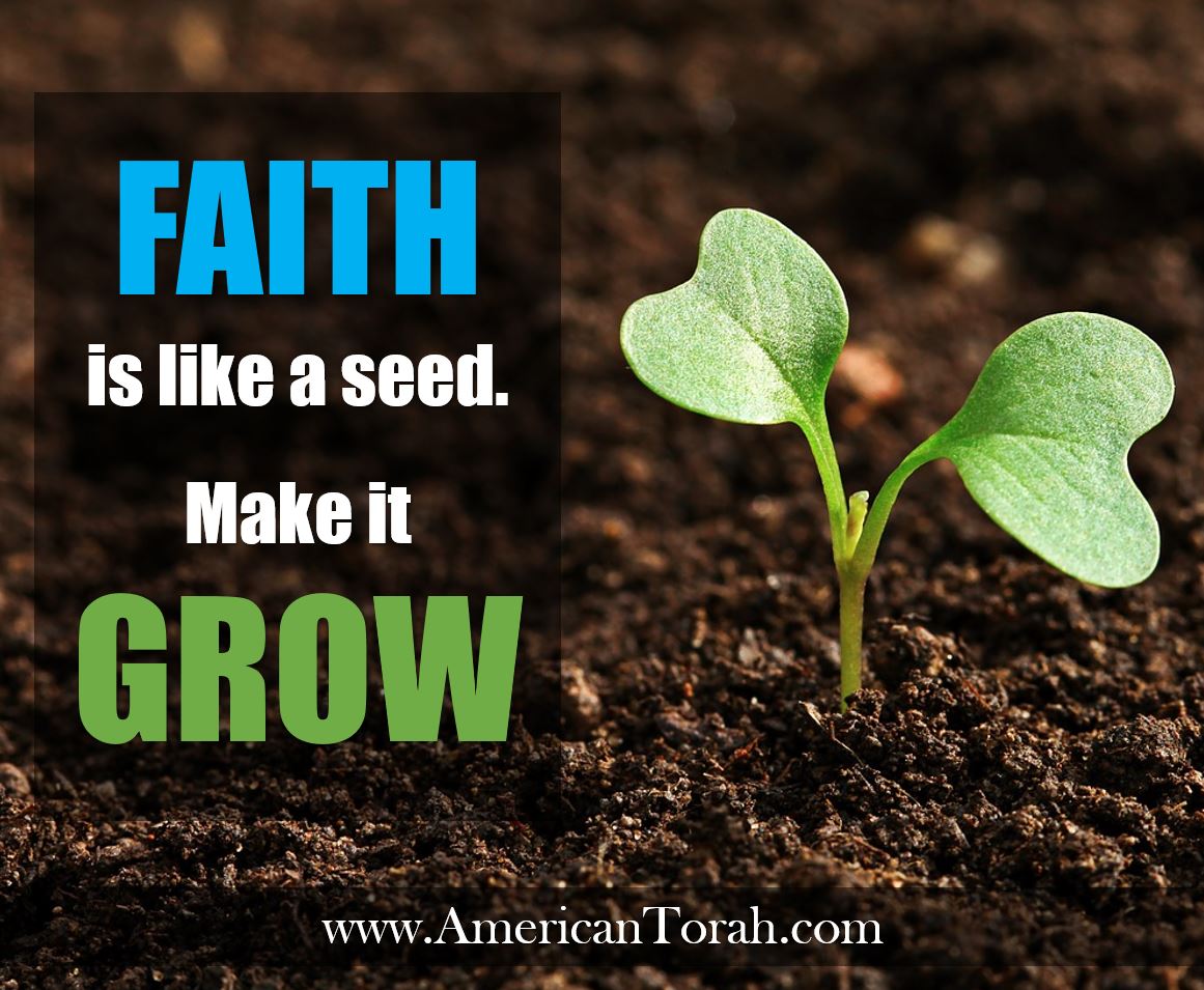 Faith Is Like a Seed. Make It Grow. American Torah
