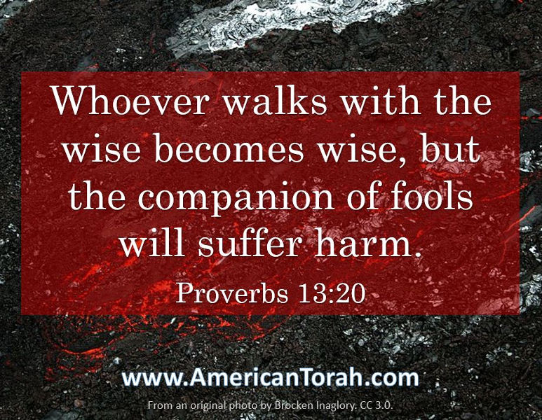 Whoever walks with the wise becomes wise, but the companion of fools will suffer harm. (Proverbs 13:20)