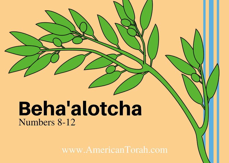 New Testament readings and links to articles and videos for Torah portion Beha'alotcha.
