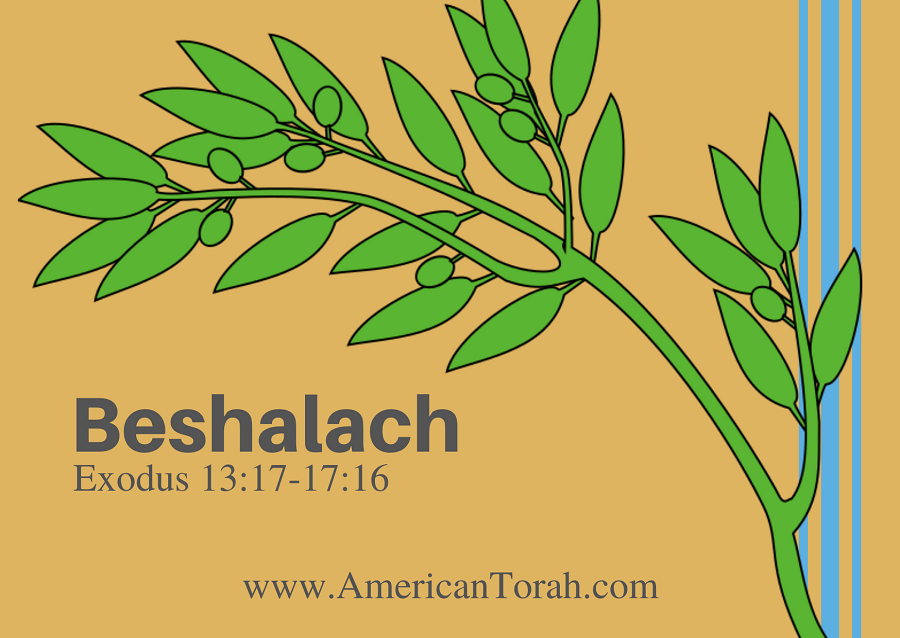 New Testament readings and articles on Torah portion Beshalach.