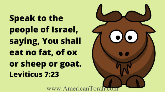 Speak to the people of Israel, saying, You shall eat no fat, of ox or sheep or goat. Leviticus 7:23