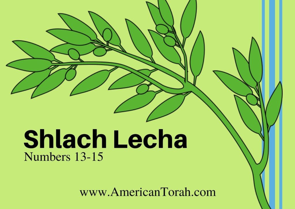 New Testament readings for Torah portion Shlach Lecha, plus links to related articles and videos.