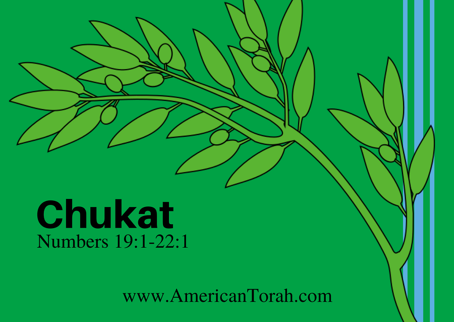 New Testament passages for studying with Torah portion Chukat (Numbers 19:1-22:1), with links to commentary and videos. Torah for Christians.