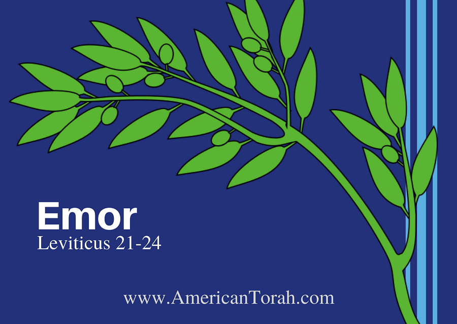 New Testament passages to study with Torah portion Emor (Leviticus 21-24), plus links to commentary and videos. Torah for Christians.