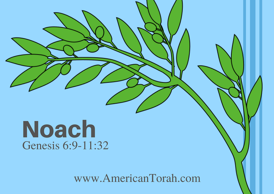 New Testament readings to study with Torah portion Noach, Genesis 6:9-11:32, plus links to commentary and videos.