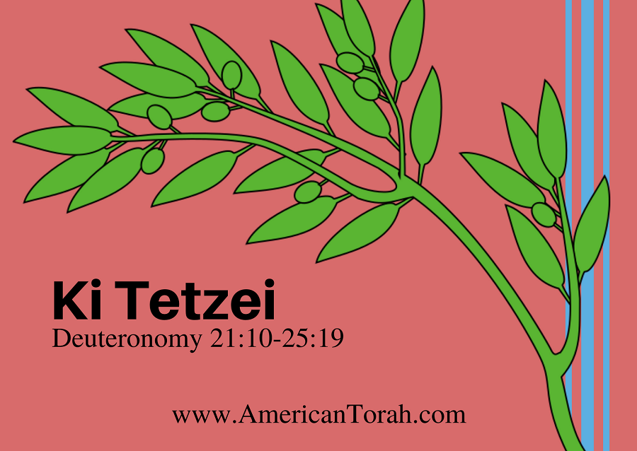 New Testament readings for Torah portion Ki Tetsei, plus links to commentary and videos. Torah for Christians.
