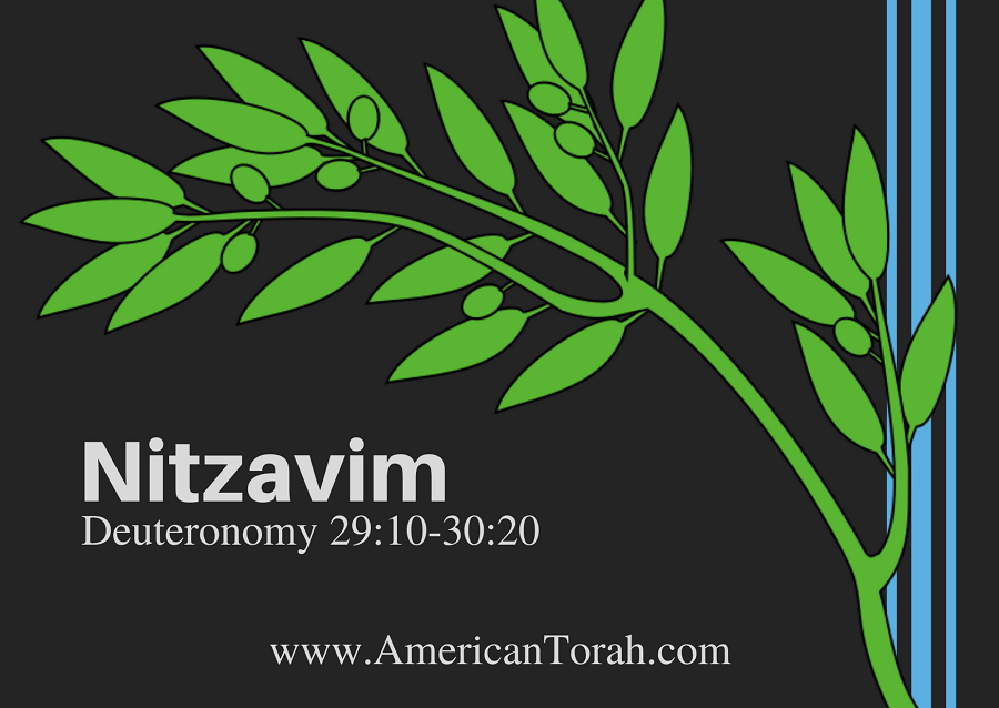 New Testament passages to read and study with Torah portion Nitzavim, along with links to commentary and teaching videos.
