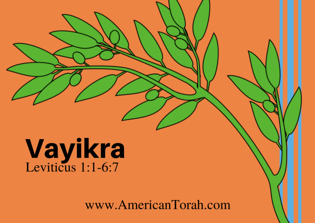 New Testament passages to read and study with Torah portion Vayikra (Leviticus 1:1-6:7), plus links to commentary and videos. Torah for Christians.