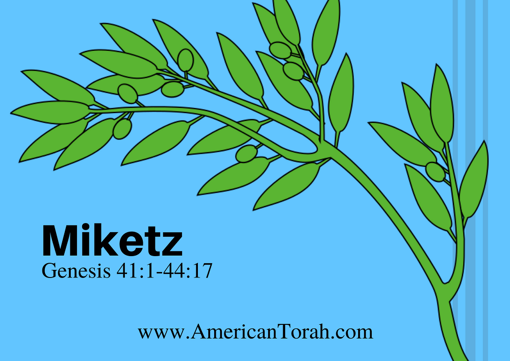 New Testament passages to study with Torah portion Mikeitz, with links to related commentary and videos.