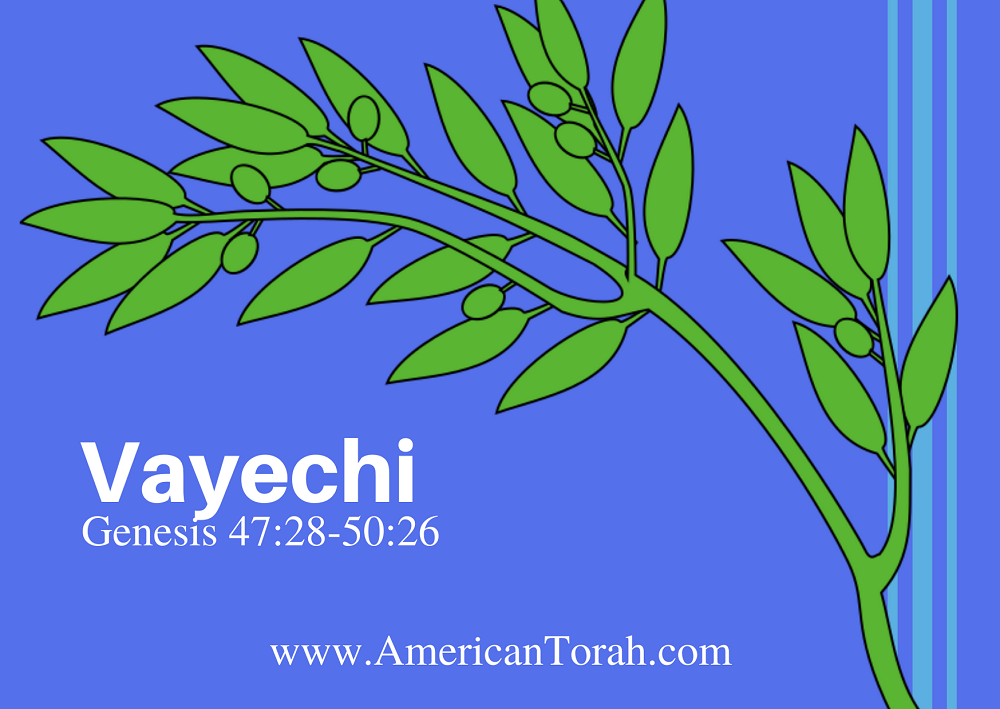 New Testament passages to study with Torah portion Vayechi, Genesis 47:28-50:26, with links to related commentary and videos.