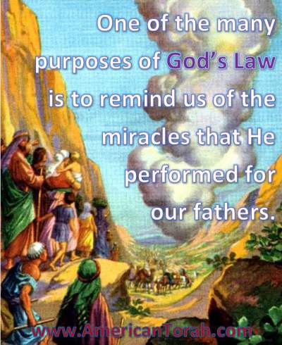 God's Law prompts us to remember the great miracles He has done for us and our fathers.