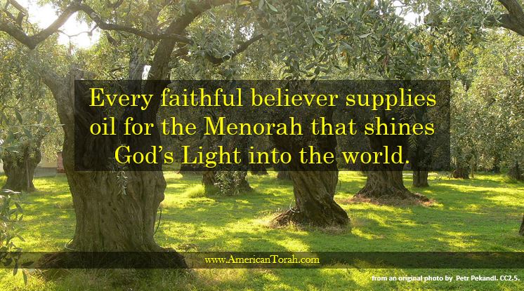 Every faithful believer supplies oil for the Menorah that shines God’s Light into the world.