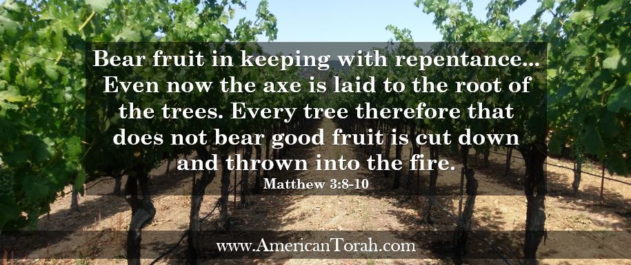 Bear fruit in keeping with repentance...Even now the axe is laid to the root of the trees. Every tree therefore that does not bear good fruit is cut down and thrown into the fire. Matthew 3:8-10