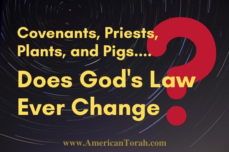 Covenants, priests, plants, and pigs... Does God's Law ever change? Is Torah study for Christians?