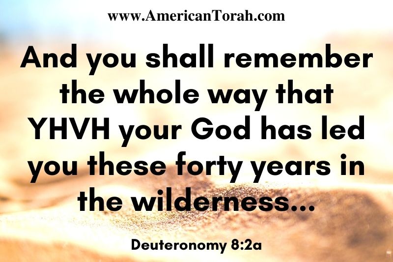 And you shall remember the whole way that YHVH your God has led you these forty years in the wilderness, that he might humble you, testing you to know what was in your heart, whether you would keep his commandments or not. Deuteronomy 8:2