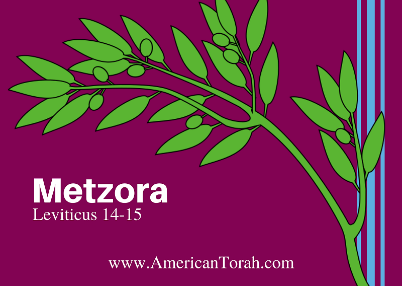 New Testament readings and articles on Torah portion Metsora.