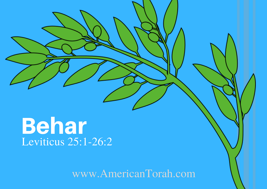 New Testament passages to study with Torah portion Behar (Leviticus 25:1-26:2), plus links to commentary and videos.