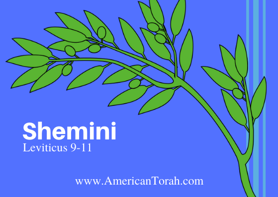 New Testament readings, articles, and videos on Torah portion Shemini.
