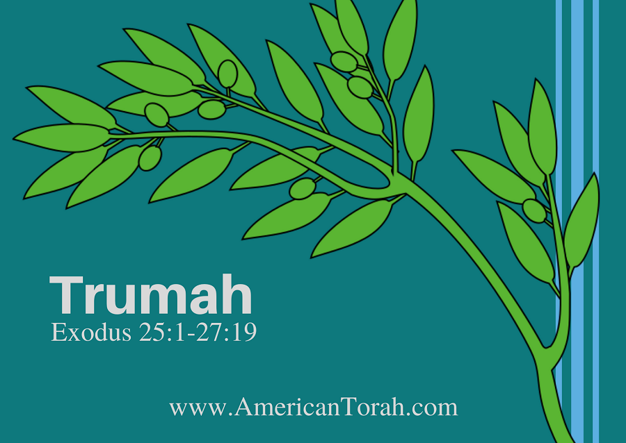 New Testament passages to study with Torah portion Terumah (Exodus 25:1-27:19), plus links to commentary and videos.