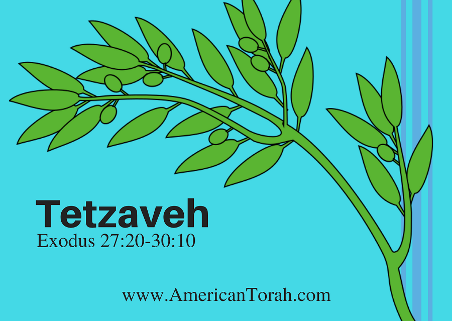 New Testament readings for Torah portion Tetsaveh, plus links to related articles and videos.