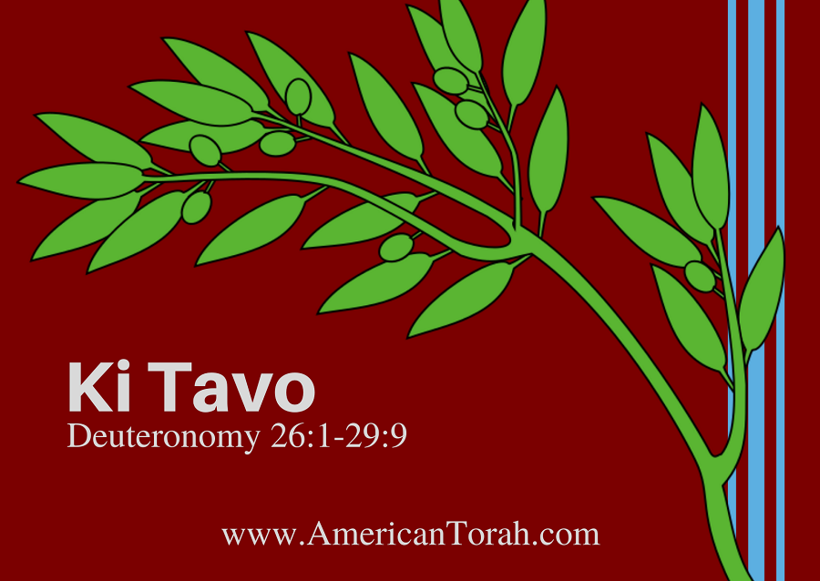 New Testament passages to read and study with parsha Ki Tavo, along with links to commentary and related teaching videos. Torah for Christians.