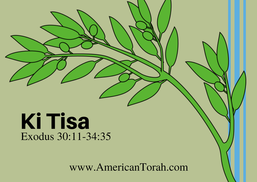New Testament passages to read and study with Torah portion Ki Tisa (Exodus 30:11-34:35), plus links to commentary and videos.