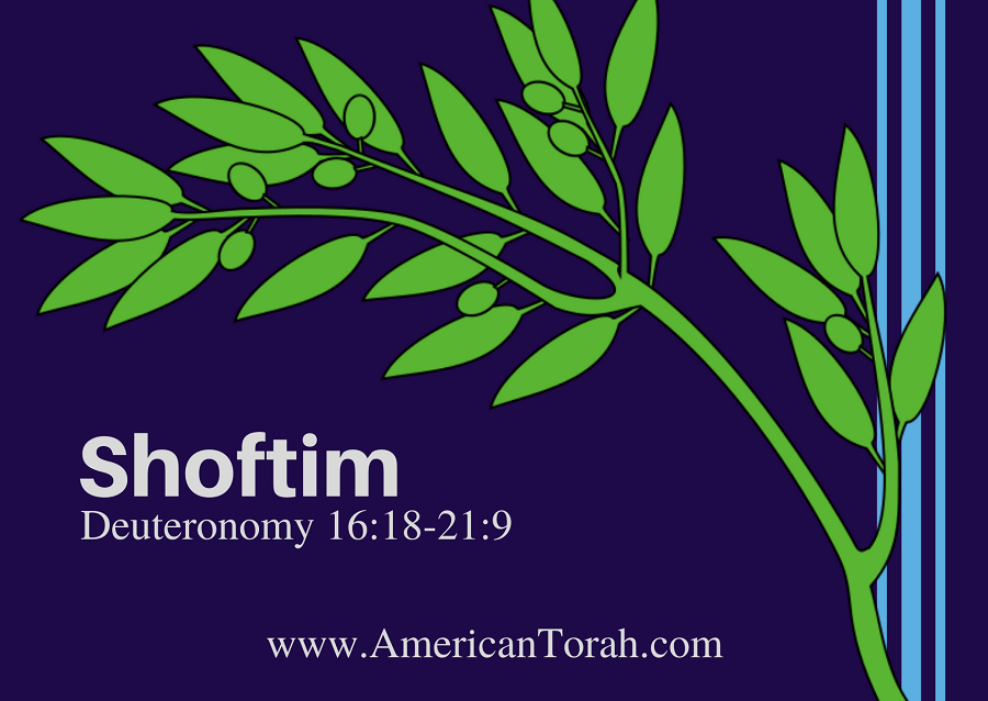 New Testament passages to read and study with Torah portion Shoftim, along with links to related commentary and videos.