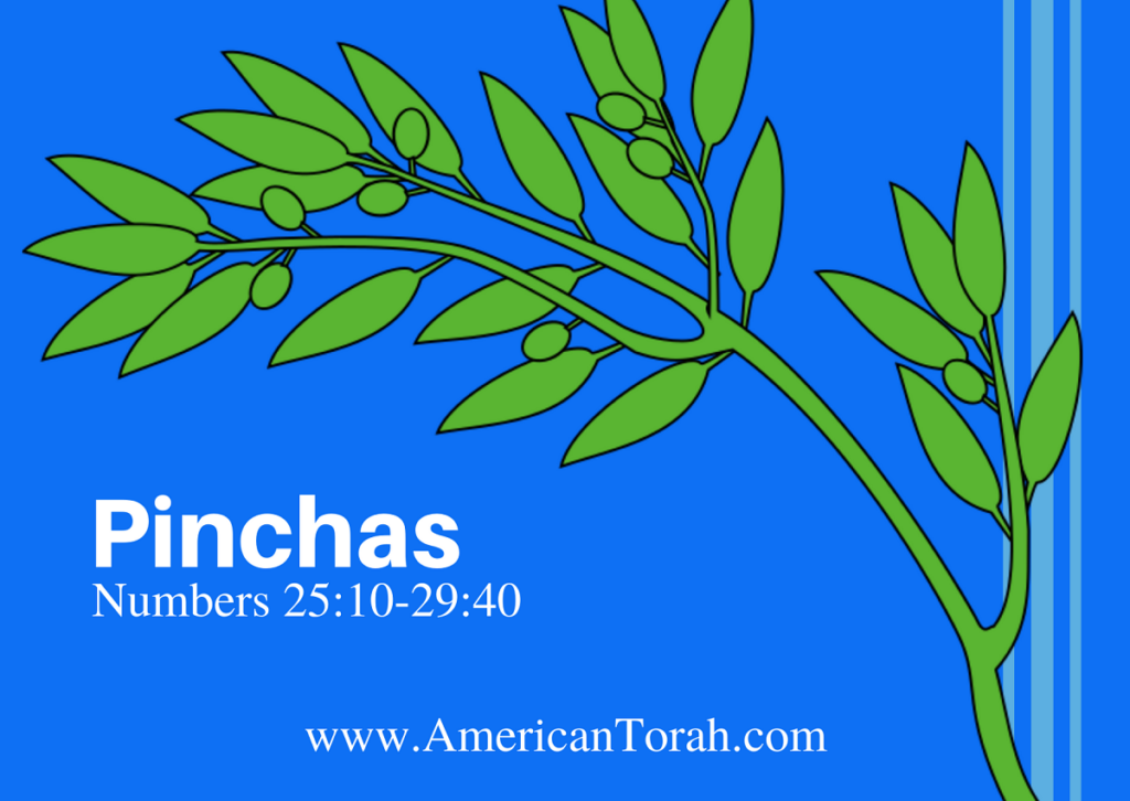 New Testament passages to read and study with Torah portion Pinchas (Numbers 25:10-29:40), plus links to commentary and videos. God's Law for Christians.