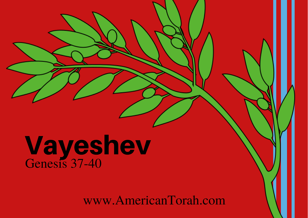 Apostolic Bible verses to read and study with Torah portion Vayeshev, Genesis 37-40, along with links to related commentary and videos. Christian Torah study.