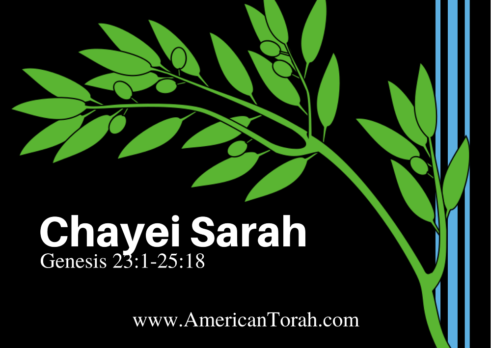 Torah study for Christians on parsha Chayei Sarah, the life of Sarah, Genesis 23:1-25:18.