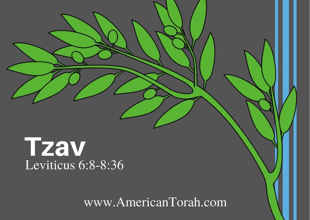 New Testament passages to read and study with Torah parsha Tzav (Leviticus 6:8-8:36). Tsav Torah study for Christians.