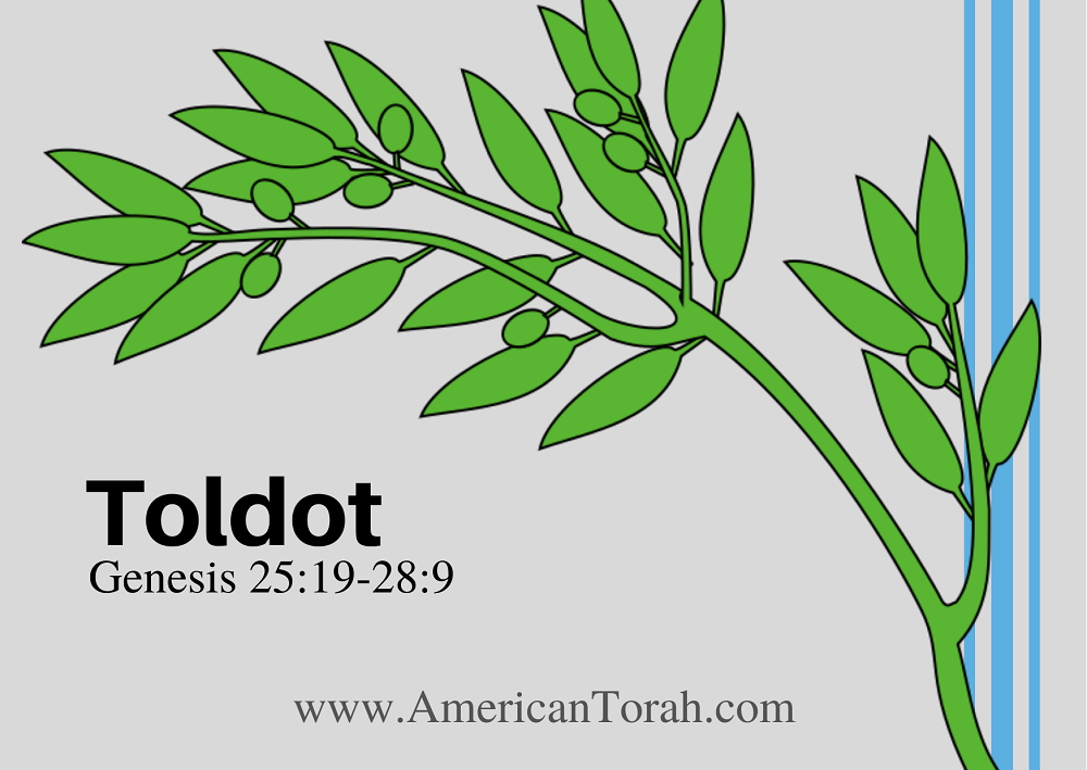 New Testament readings for Torah portion Toldot, plus links to related commentary and video. Torah study for Christians.