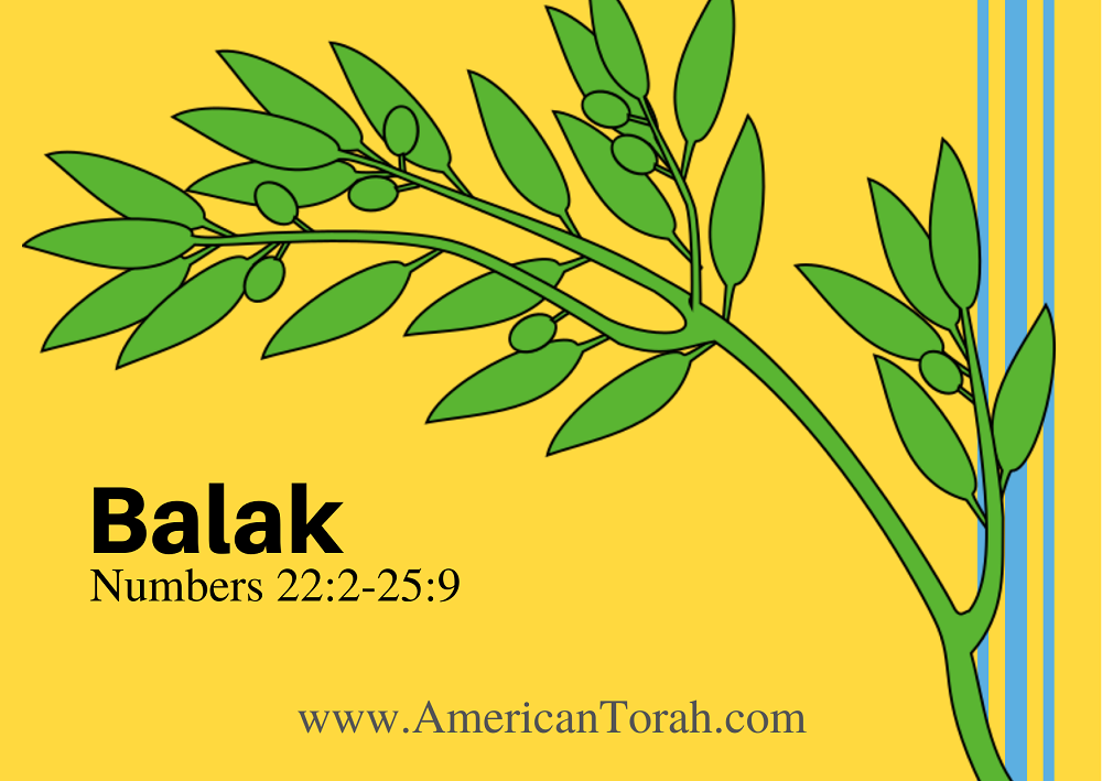 Torah portion Balak. New Testament readings for Christian Torah study, plus links to related commentary and video.