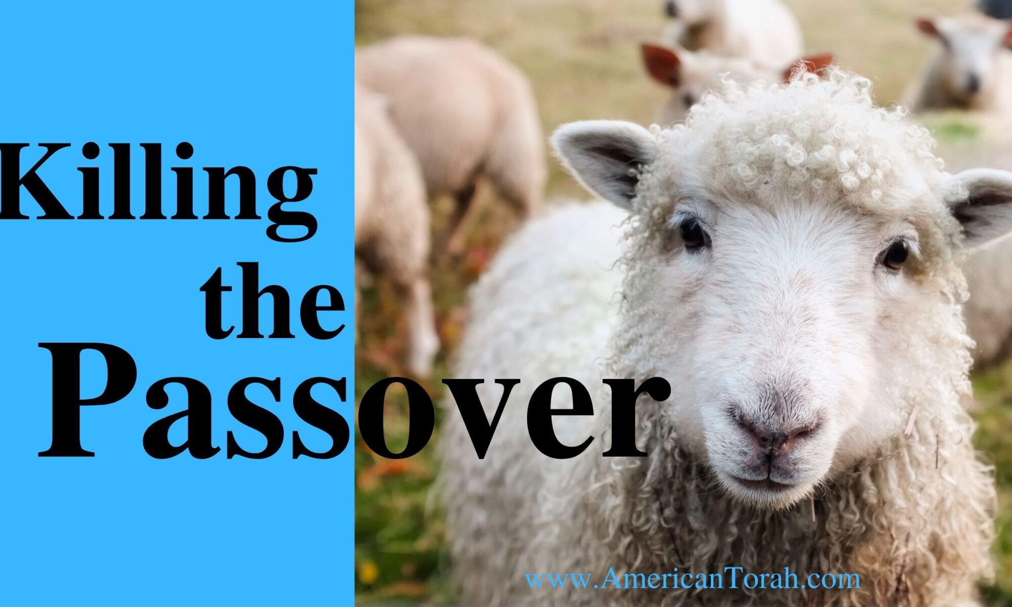 The how, when, were, and why of killing the Passover.
