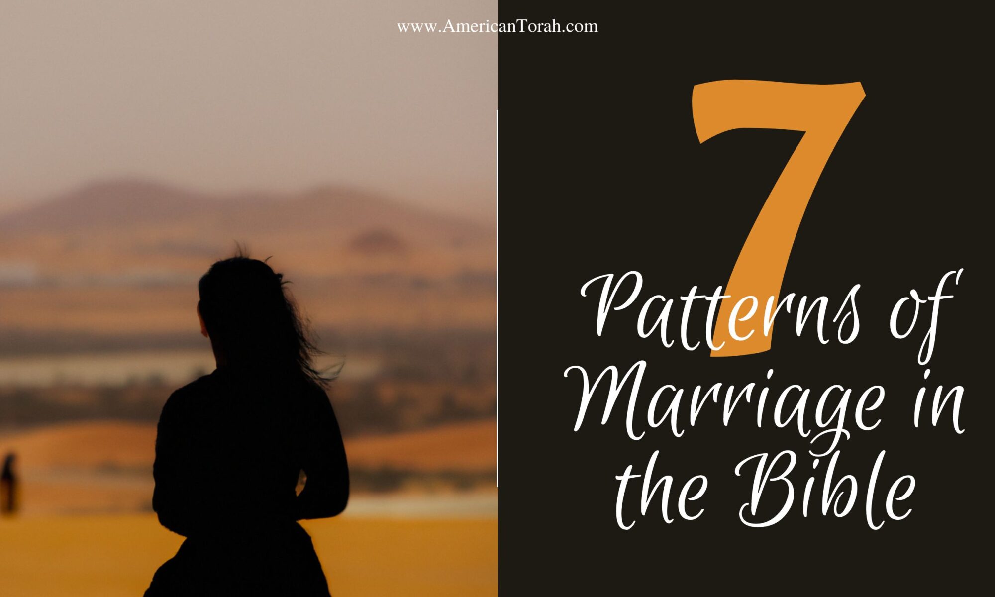 Seven patterns of marriage in the Bible. Concubines, wives, handmaids, levirate, etc.
